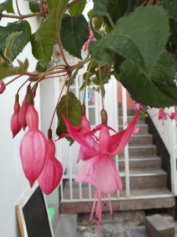 Cusco Vista Guest House المظهر الخارجي الصورة
